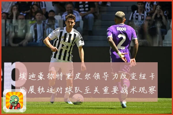埃迪豪称特里皮尔领导力改变纽卡发展轨迹对球队至关重要战术观察-深度解析