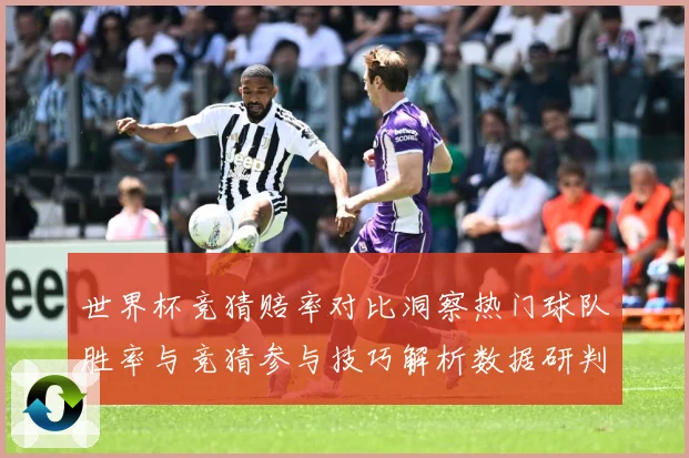 世界杯竞猜赔率对比洞察热门球队胜率与竞猜参与技巧解析数据研判-深度解析